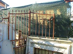 gate